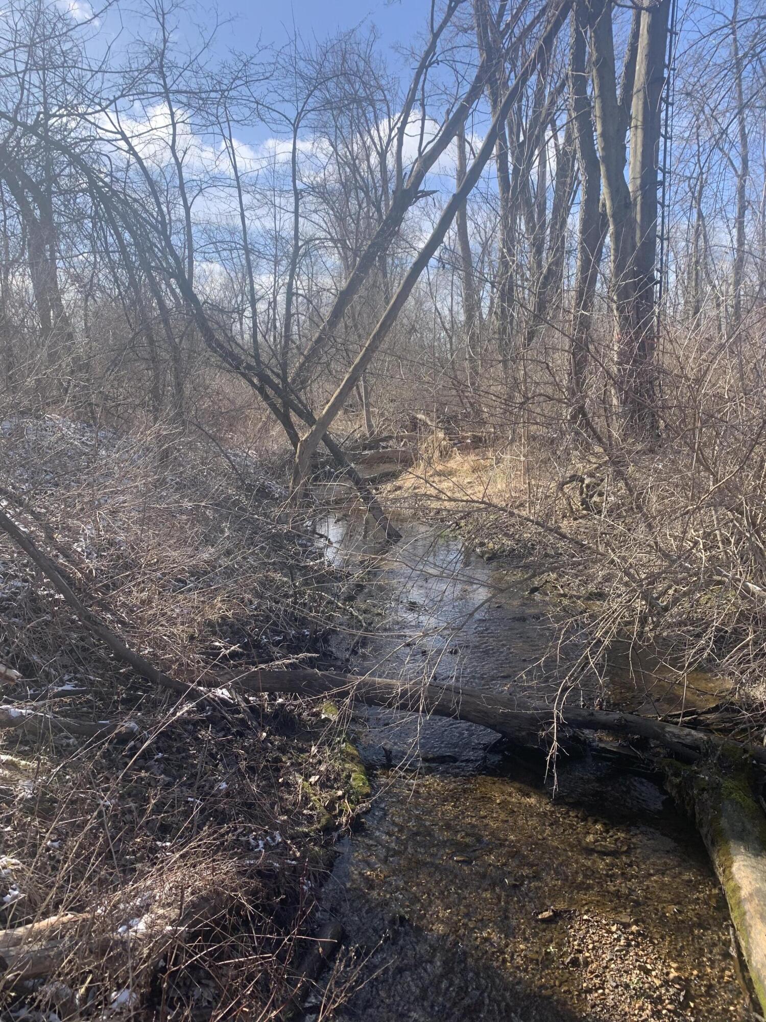 9350 Peach Ridge Avenue Northwest Sparta, MI 49345 - Photo 5 of 12 IMG_4574