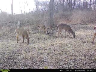 9350 Peach Ridge Avenue Northwest Sparta, MI 49345 - Photo 7 of 12 IMG_4578