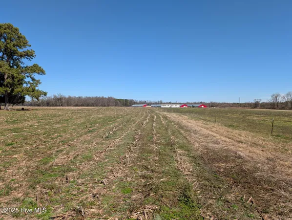 $240,000 | 0 Cedar Fork Road, Beulaville, NC 28518