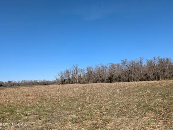 $240,000 | 0 Cedar Fork Road, Beulaville, NC 28518
