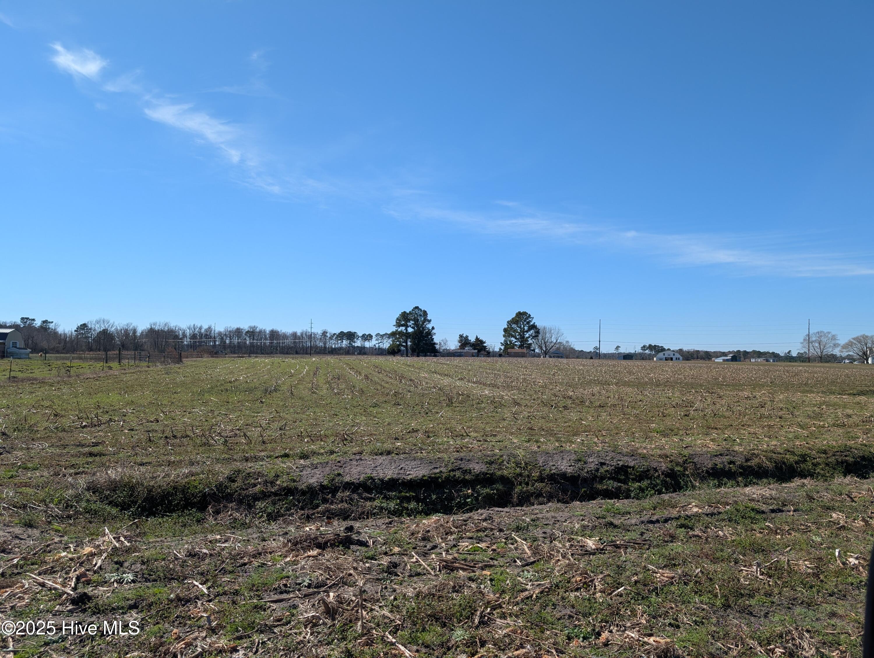 0 Cedar Fork Road Beulaville, NC 28518 - Photo 5 of 7 PXL_20250217_170947709