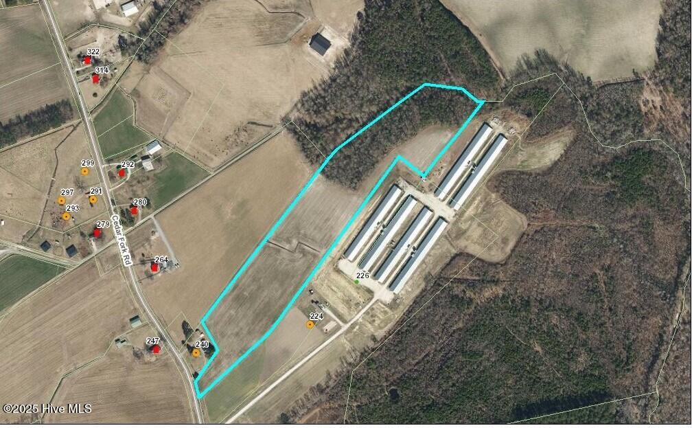 0 Cedar Fork Road Beulaville, NC 28518 - Photo 6 of 7 GIS View