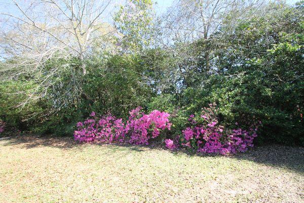 223 Ridge Drive Crestview, FL 32536 - Photo 34 of 44 IMG_4282