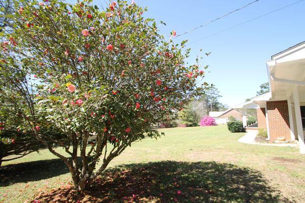 223 Ridge Drive Crestview, FL 32536 - Photo 5 of 44 IMG_4281