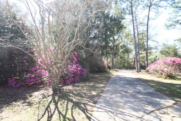 223 Ridge Drive Crestview, FL 32536 - Photo 6 of 44 IMG_4283