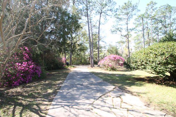 223 Ridge Drive Crestview, FL 32536 - Photo 7 of 44 IMG_4284