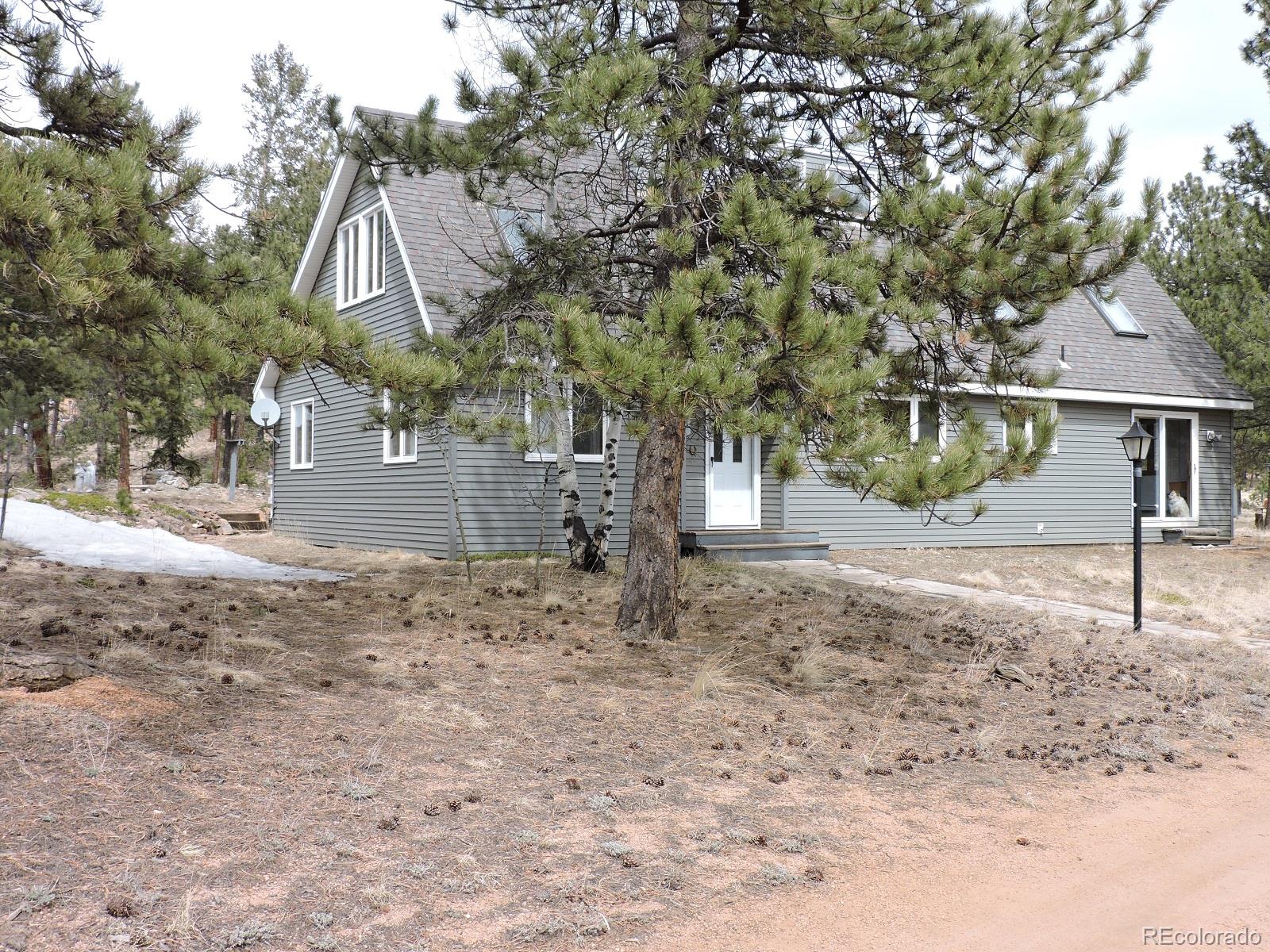 240 Rustlers Road Bailey, CO 80421 - Photo 1 of 1 a view of a yard with a tree