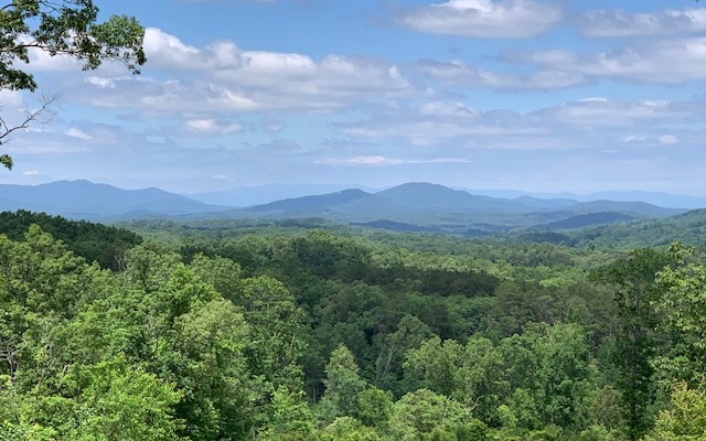 24 Staurolite Mountain Road Blue Ridge, GA 30513 - Photo 1 of 1 Main View