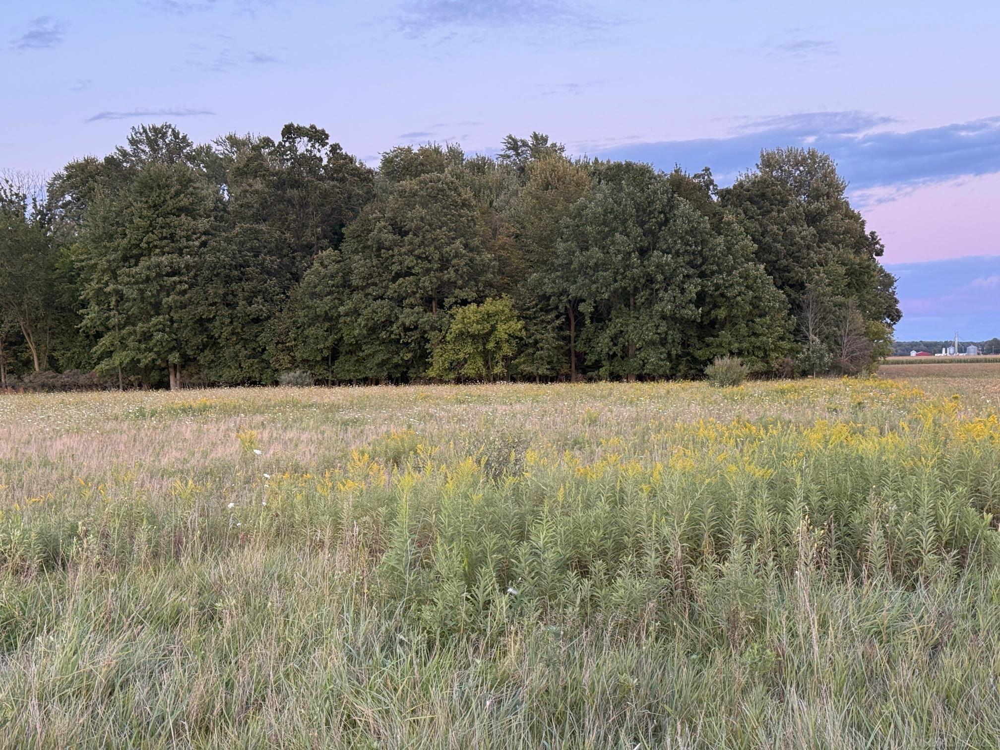 0 Kilgore Road Croswell, MI 48422 - Photo 4 of 4