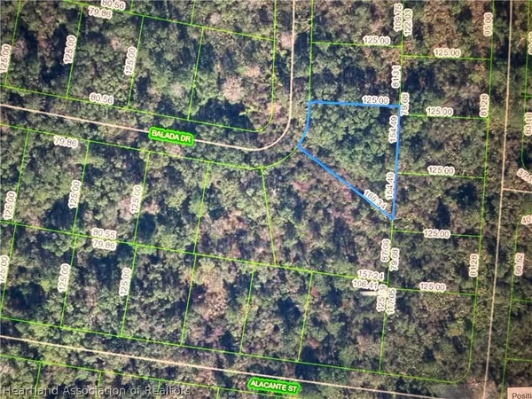 $25,000 | 8417 Balada Drive, Sebring, FL 33872