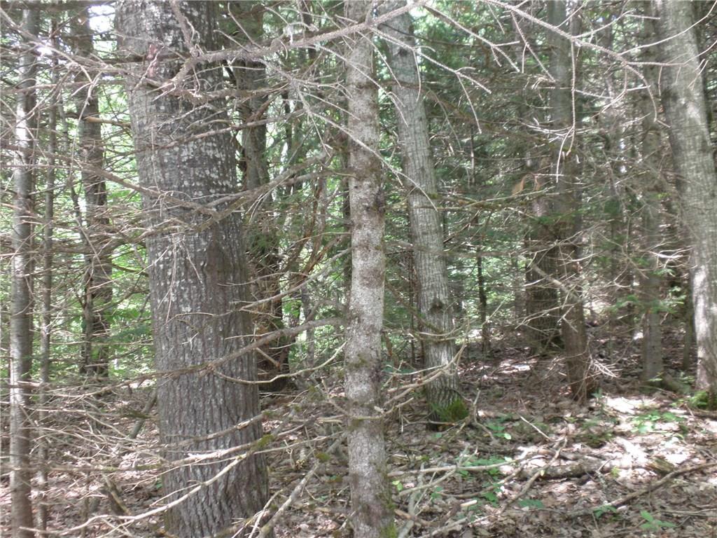 Off North Chester Road Lincoln, ME 04457 - Photo 8 of 15 Land