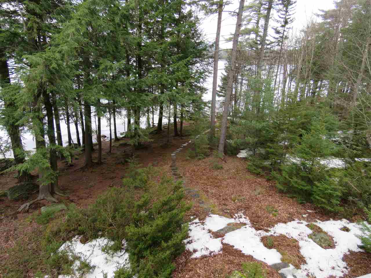135 Old Town Road Hancock, NH 03449 - Photo 10 of 21