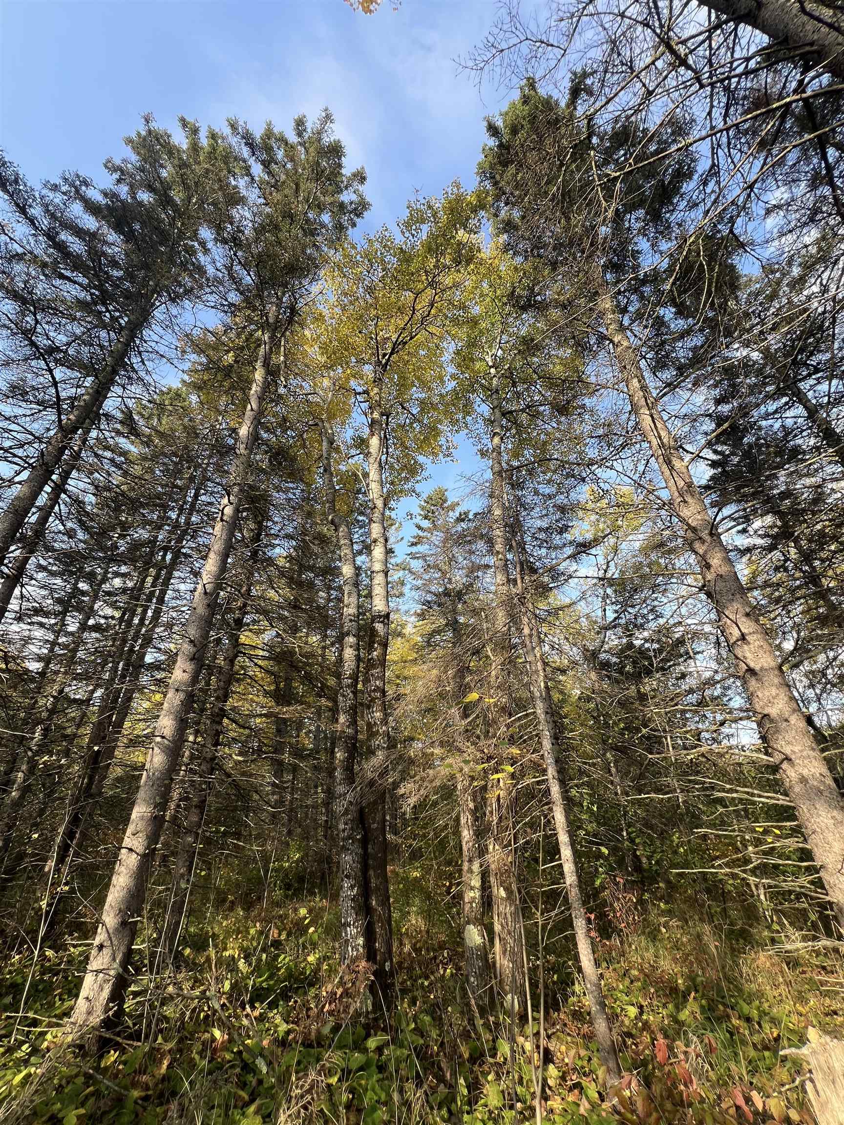 4177 Joshua Road Silver Bay, MN 55614 - Photo 11 of 12