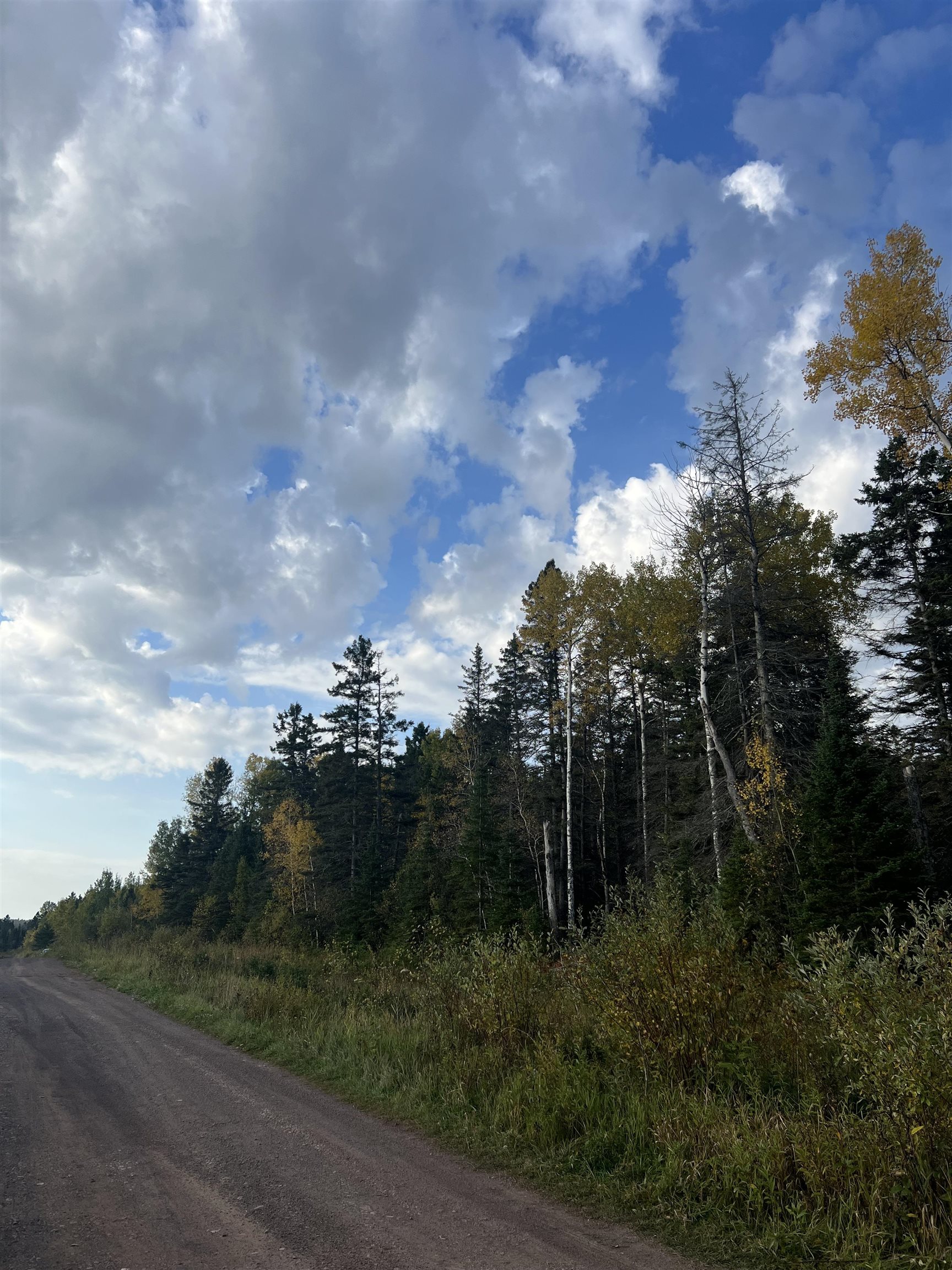 4177 Joshua Road Silver Bay, MN 55614 - Photo 3 of 12