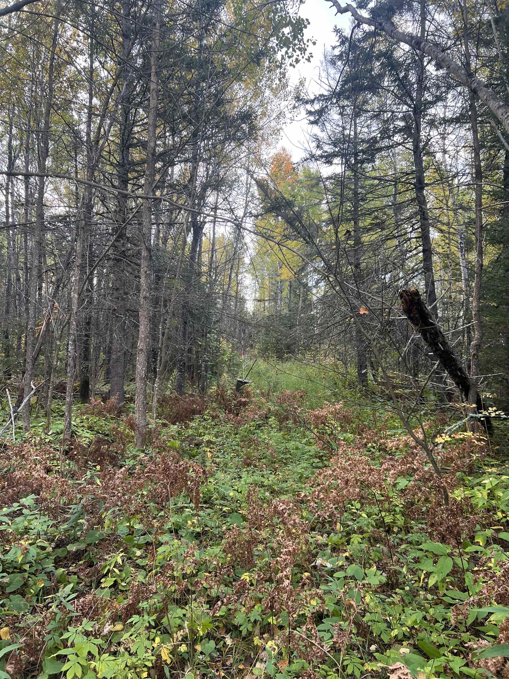 4177 Joshua Road Silver Bay, MN 55614 - Photo 4 of 12