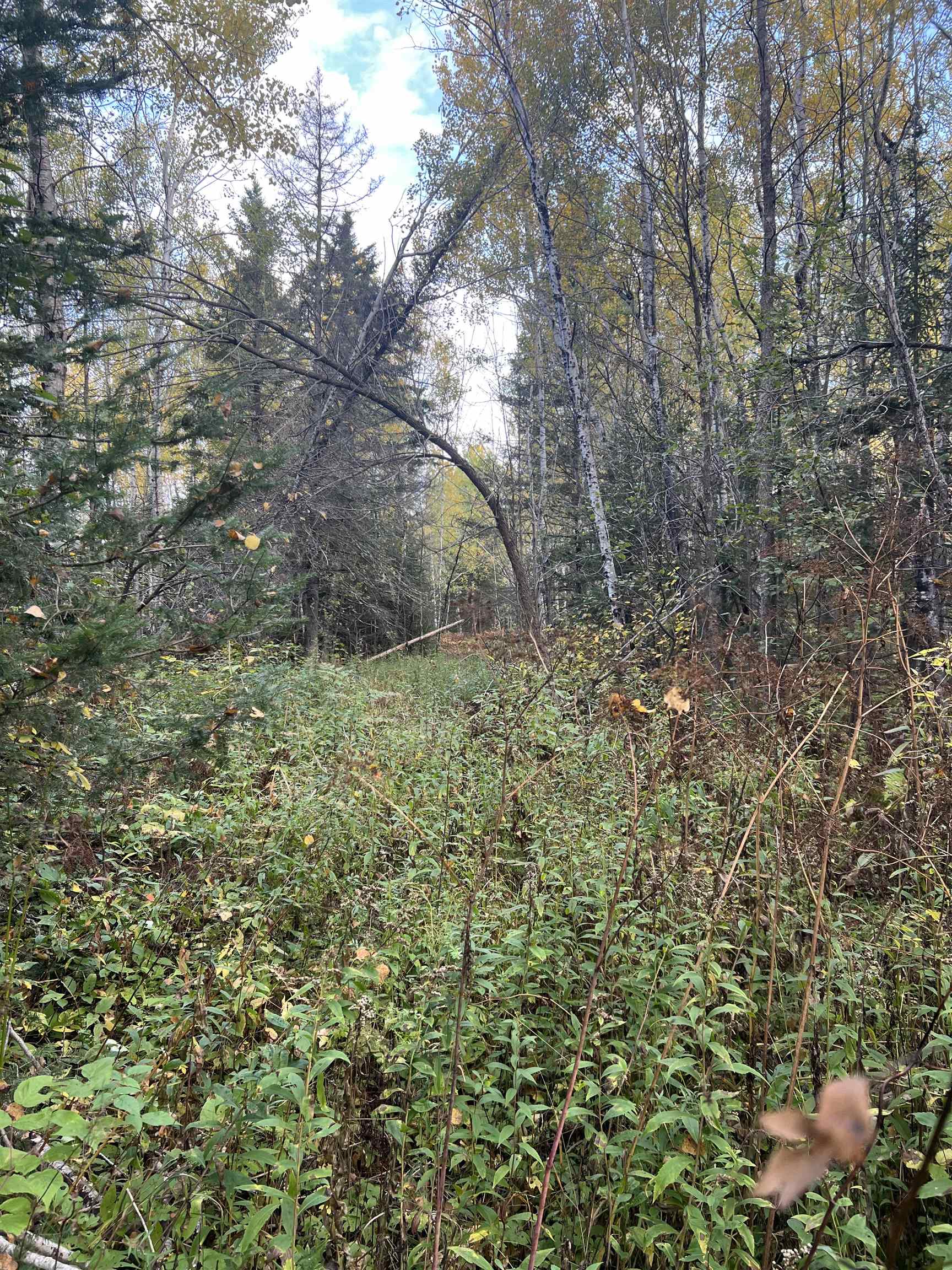 4177 Joshua Road Silver Bay, MN 55614 - Photo 6 of 12