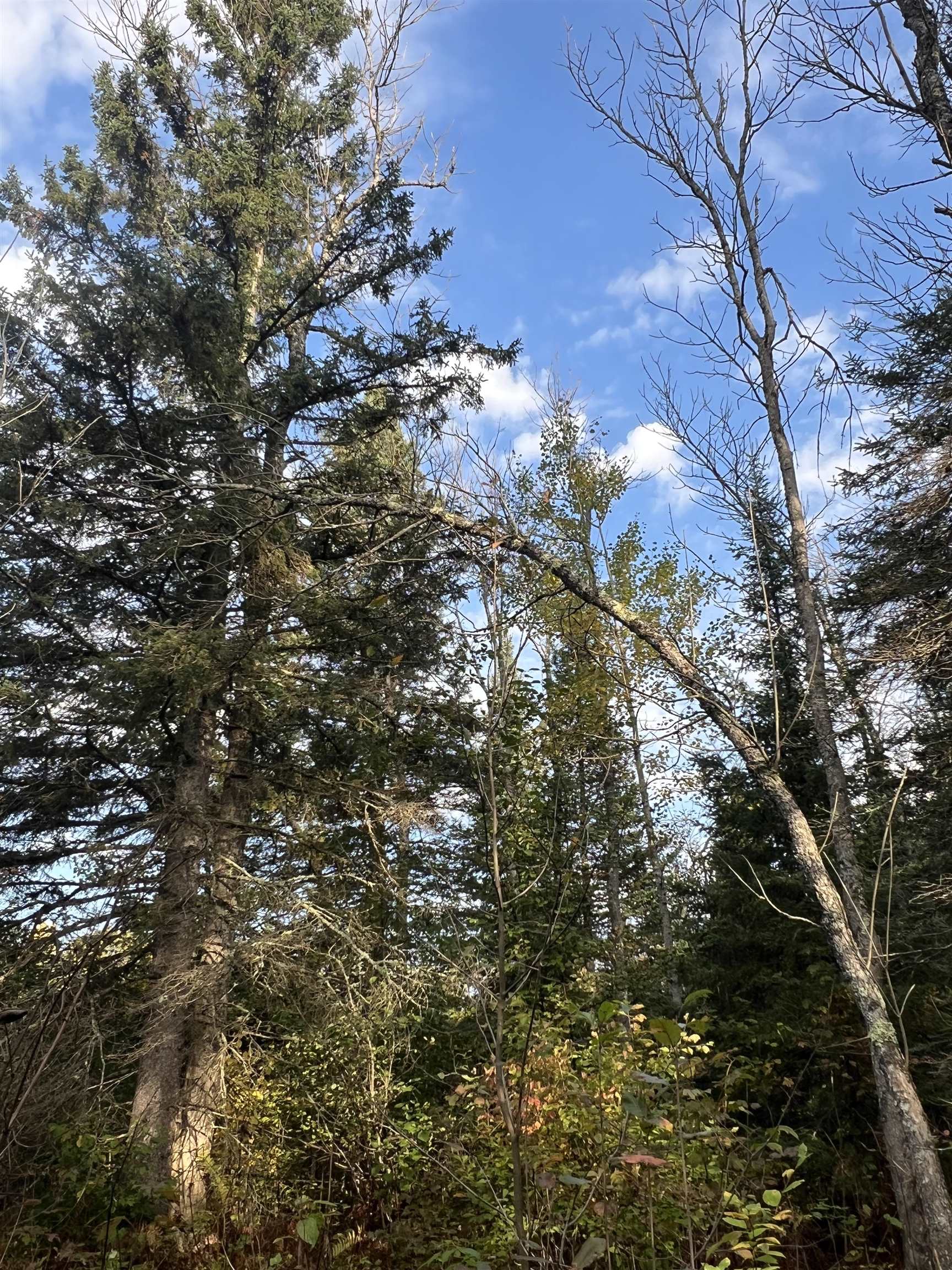 4177 Joshua Road Silver Bay, MN 55614 - Photo 8 of 12