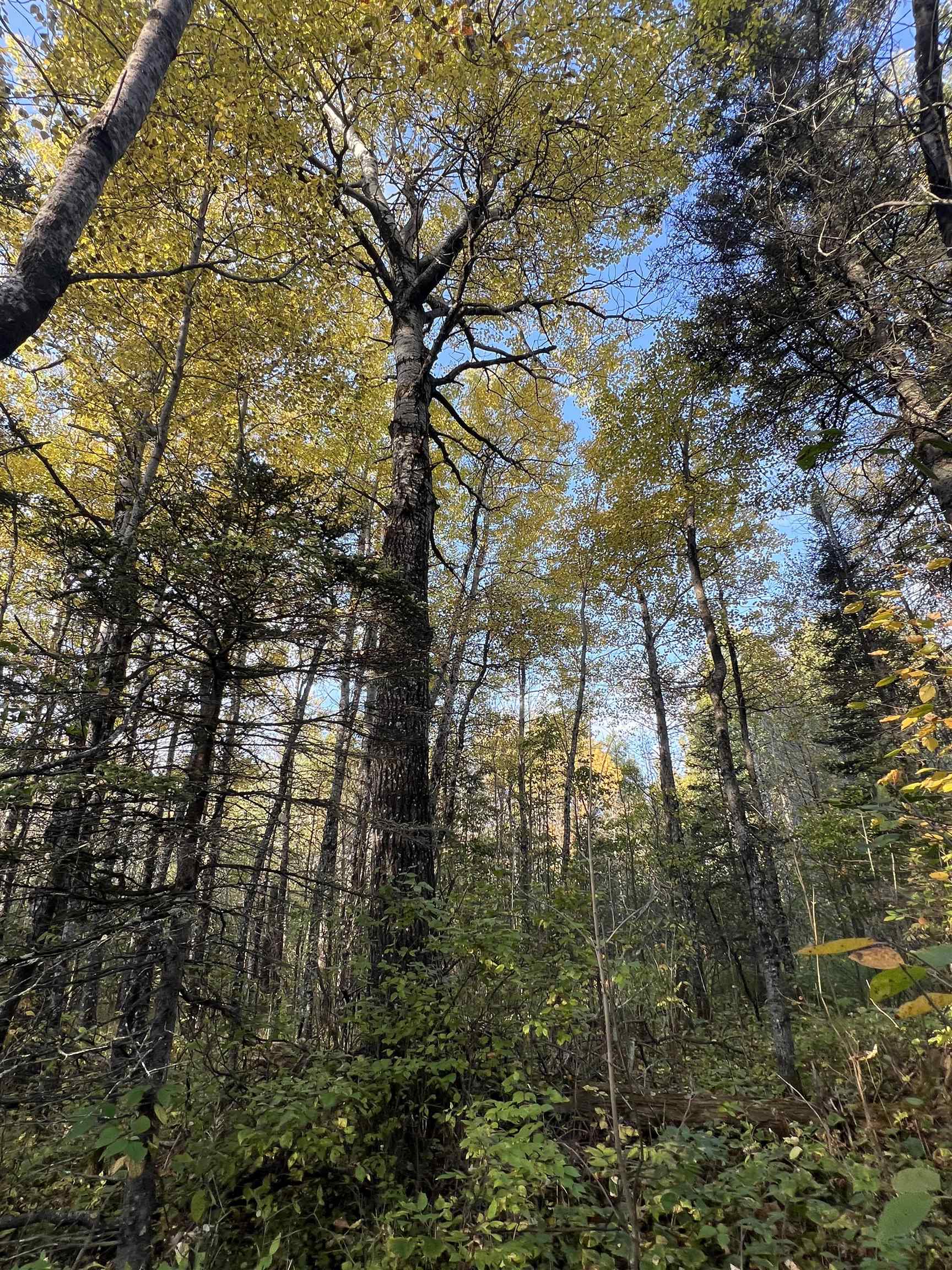 4177 Joshua Road Silver Bay, MN 55614 - Photo 9 of 12