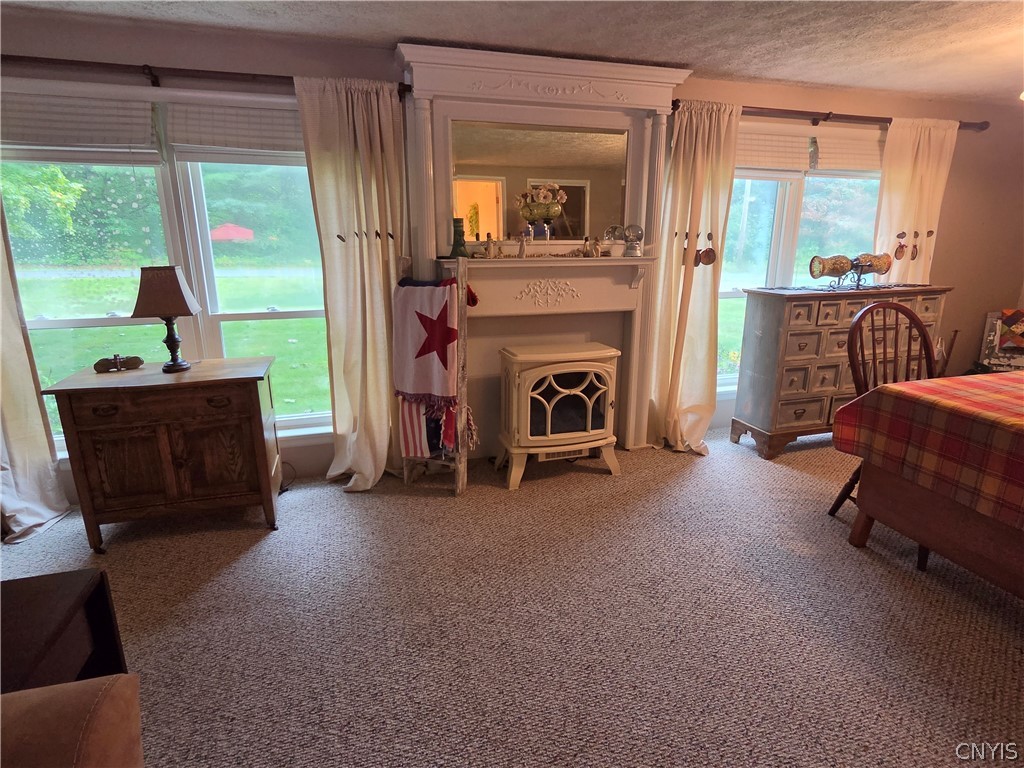6931 Chases Lake Road Watson, NY 13343 - Photo 11 of 35 Gallery Image 11