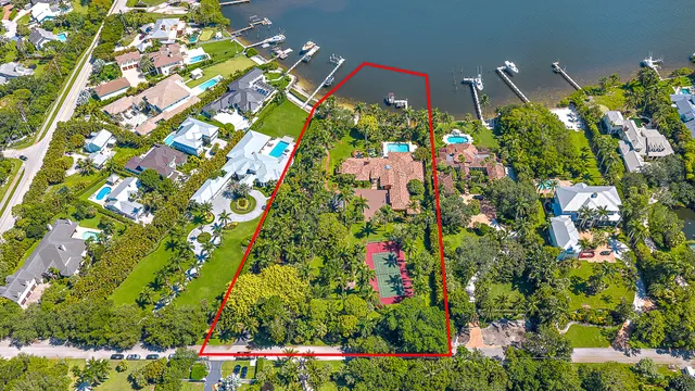 a picture of flowers