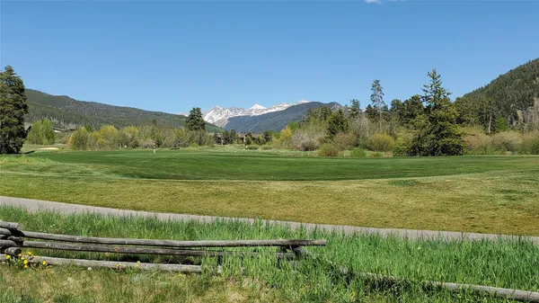 a view of a grassy field with an trees