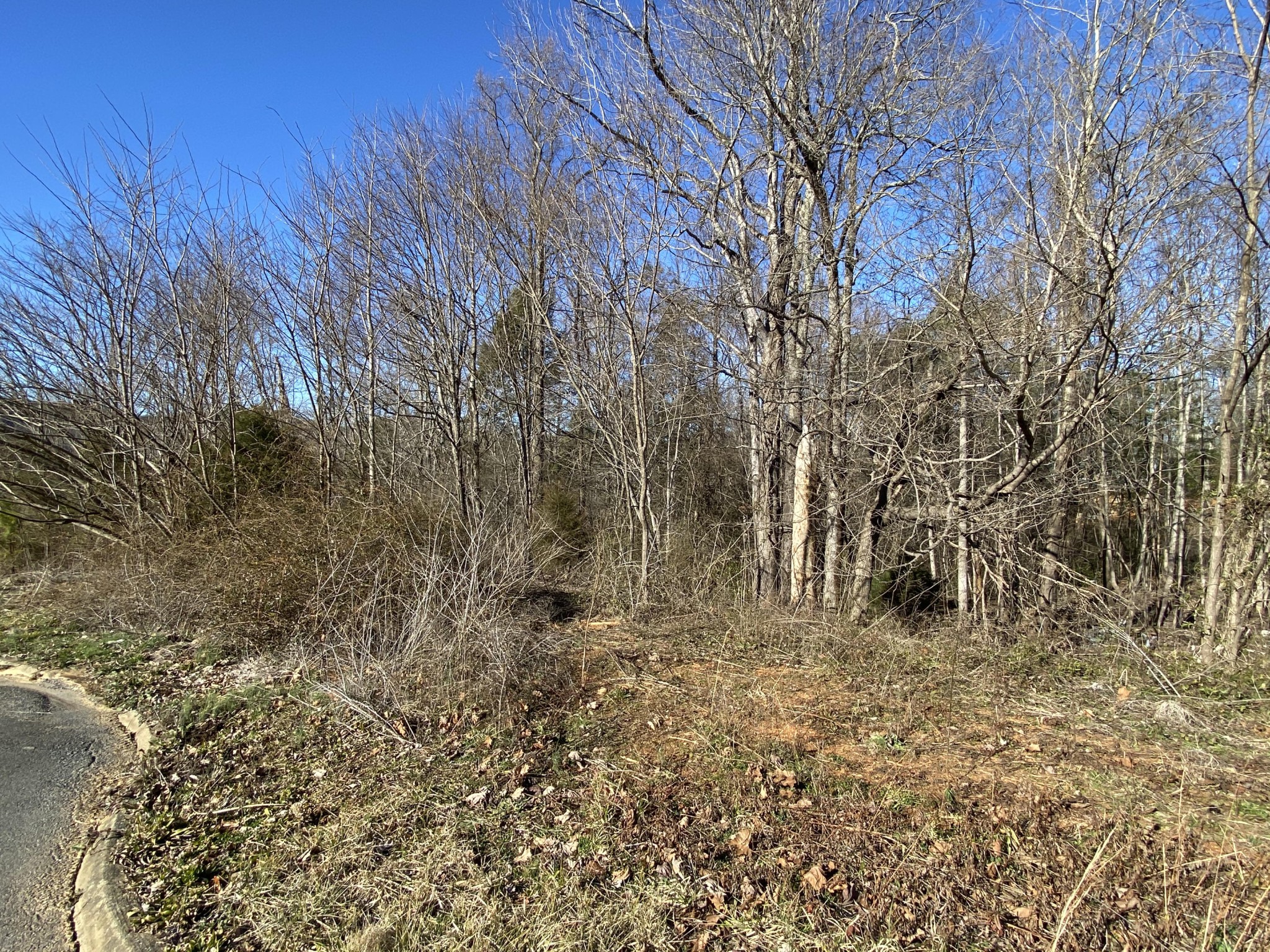 0 Thomas Headrick Road Sevierville, TN 37862 - Photo 1 of 5 Gallery Image 1