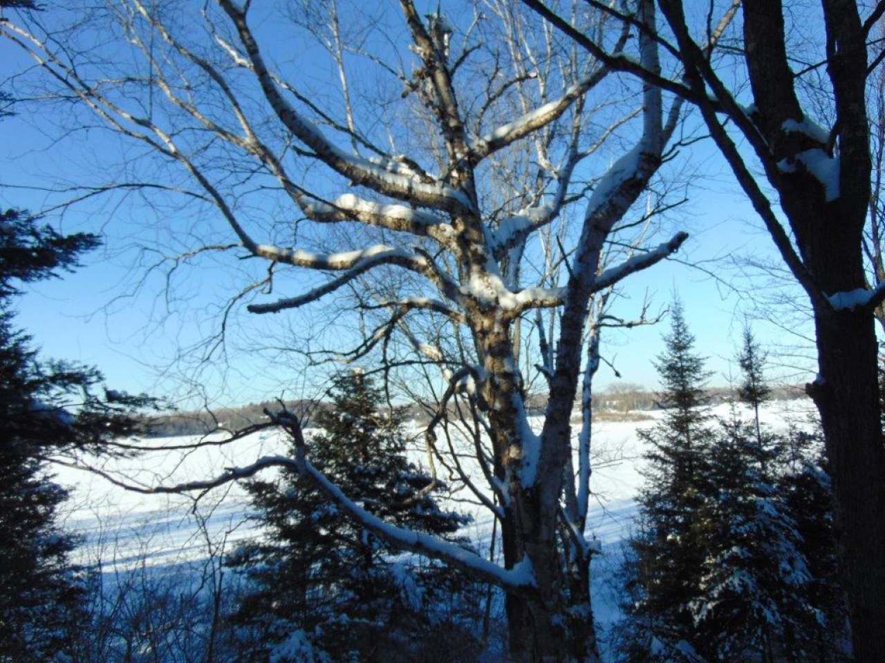 9-cs136 Rustic Road, Unit LOT # 4 Presque Isle, WI 54557 - Photo 1 of 14 Gallery Image 1