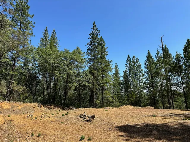 a view of snow on the side of a road
