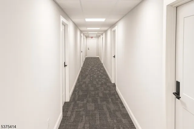 a view of a hallway with a white door