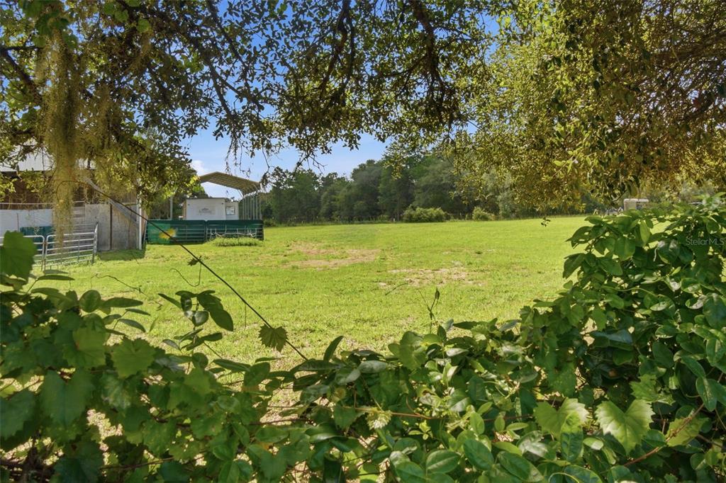 32416 Pine Road Eustis, FL 32736 - Photo 44 of 64