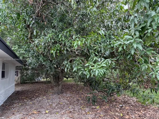 a view of a yard with plants and tree