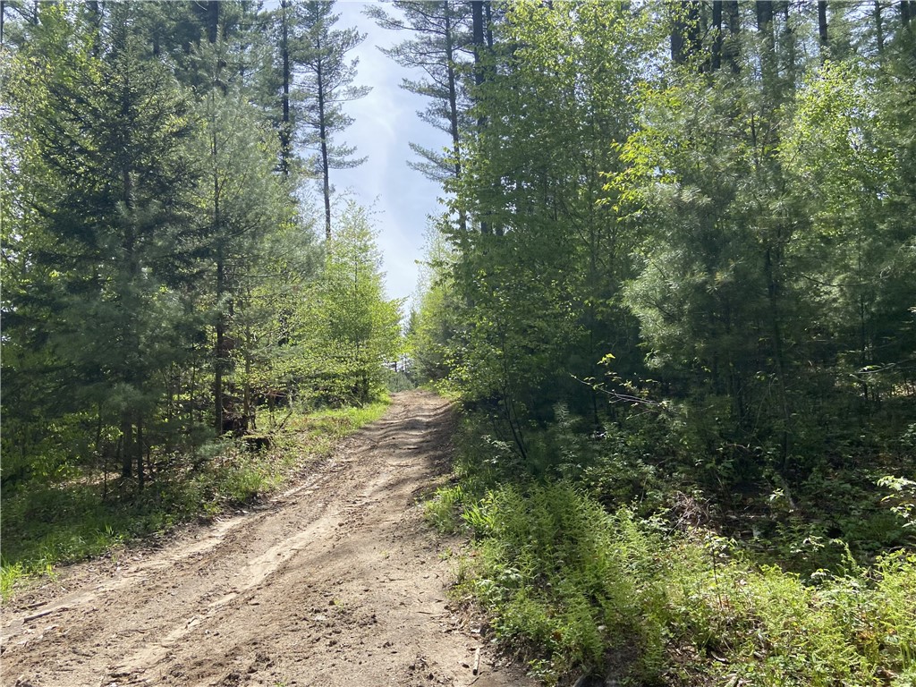 0 Adams Hill Road Croghan, NY 13327 - Photo 9 of 16