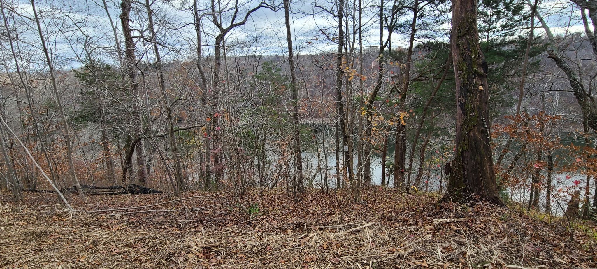 20 Allen Bend Road Smithville, TN 37166 - Photo 1 of 16 Gallery Image 1