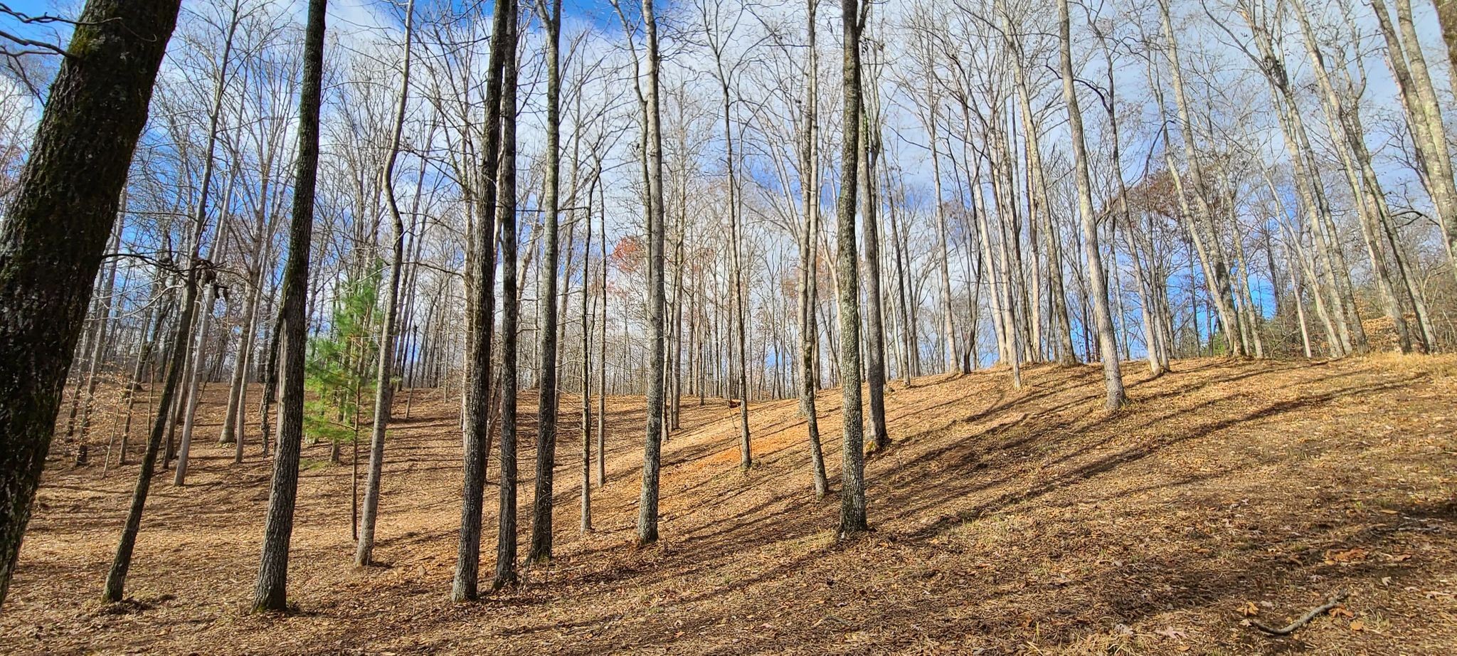 20 Allen Bend Road Smithville, TN 37166 - Photo 11 of 16 Gallery Image 11