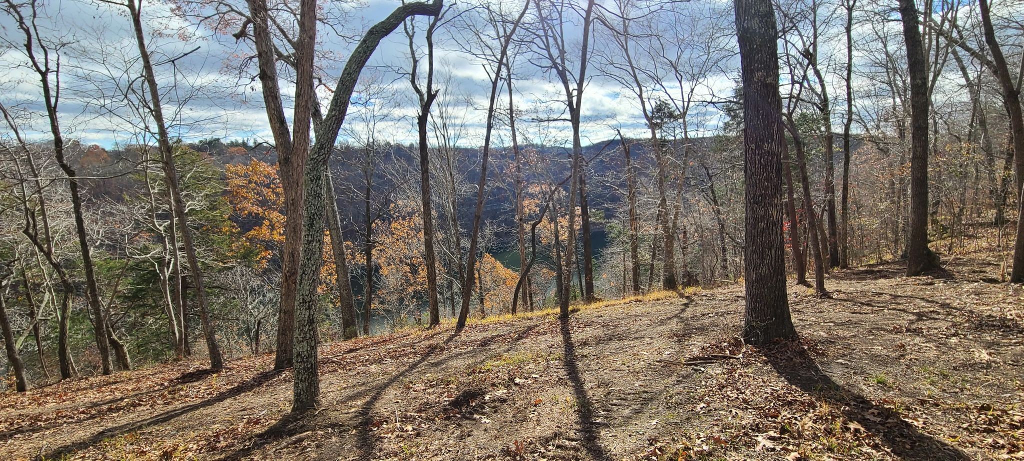 20 Allen Bend Road Smithville, TN 37166 - Photo 12 of 16 Gallery Image 12