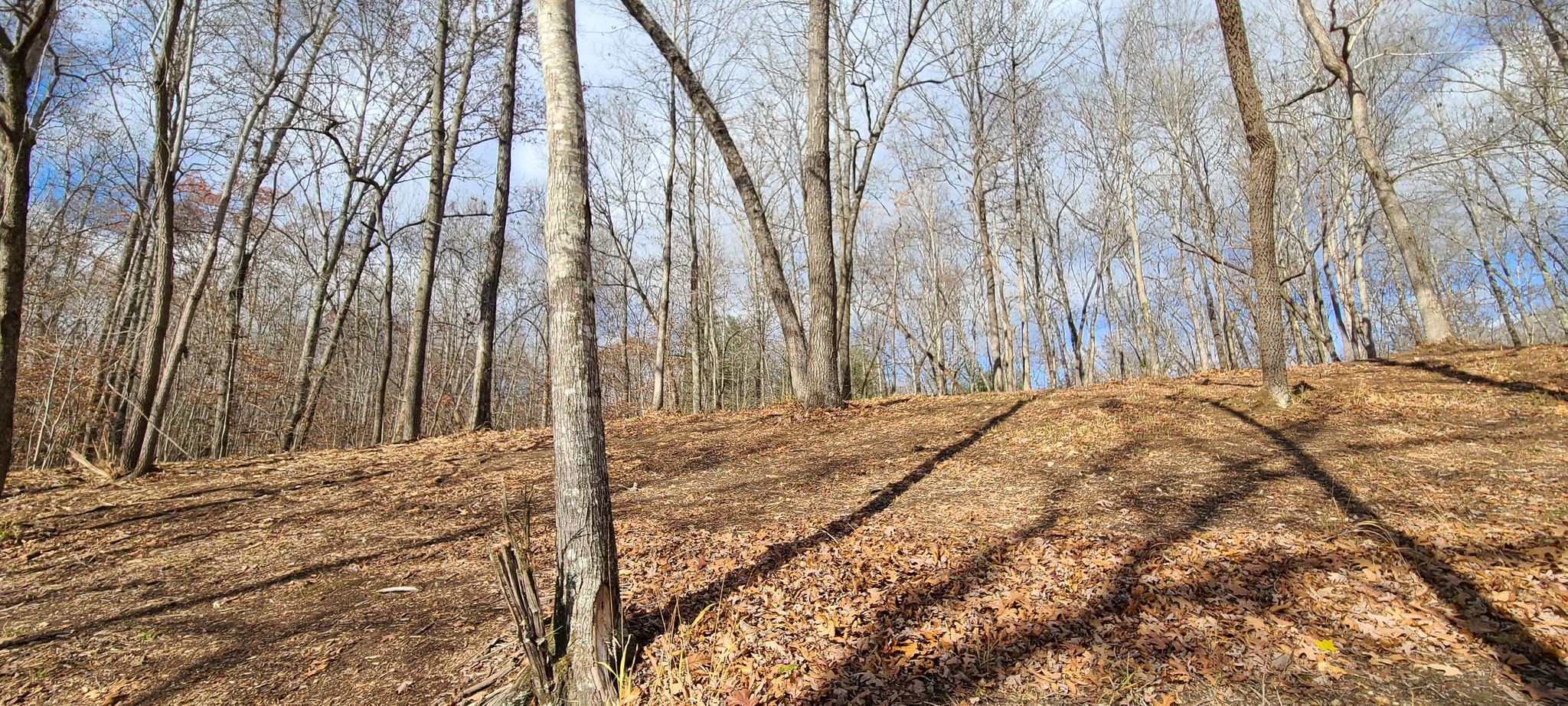20 Allen Bend Road Smithville, TN 37166 - Photo 15 of 16 Gallery Image 15