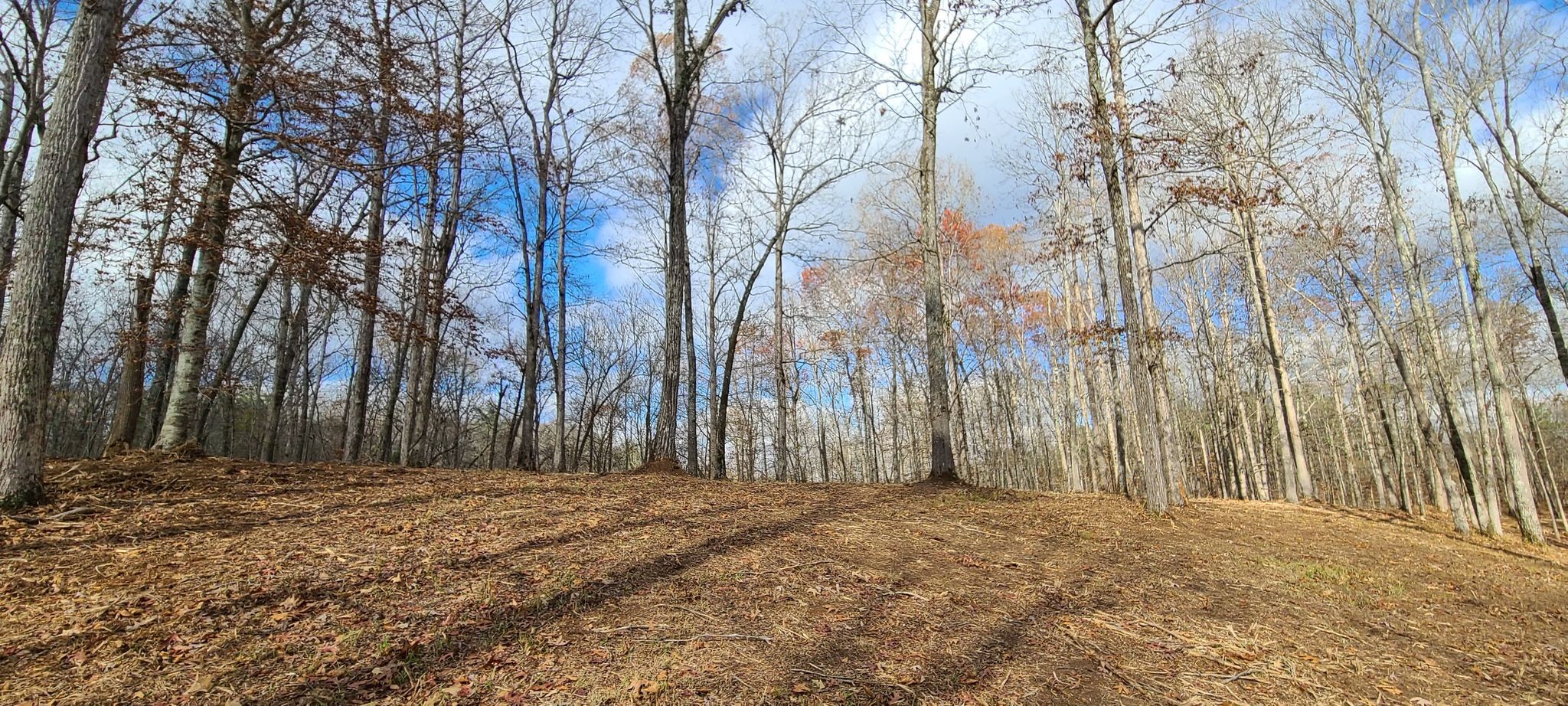 20 Allen Bend Road Smithville, TN 37166 - Photo 5 of 16 Gallery Image 5