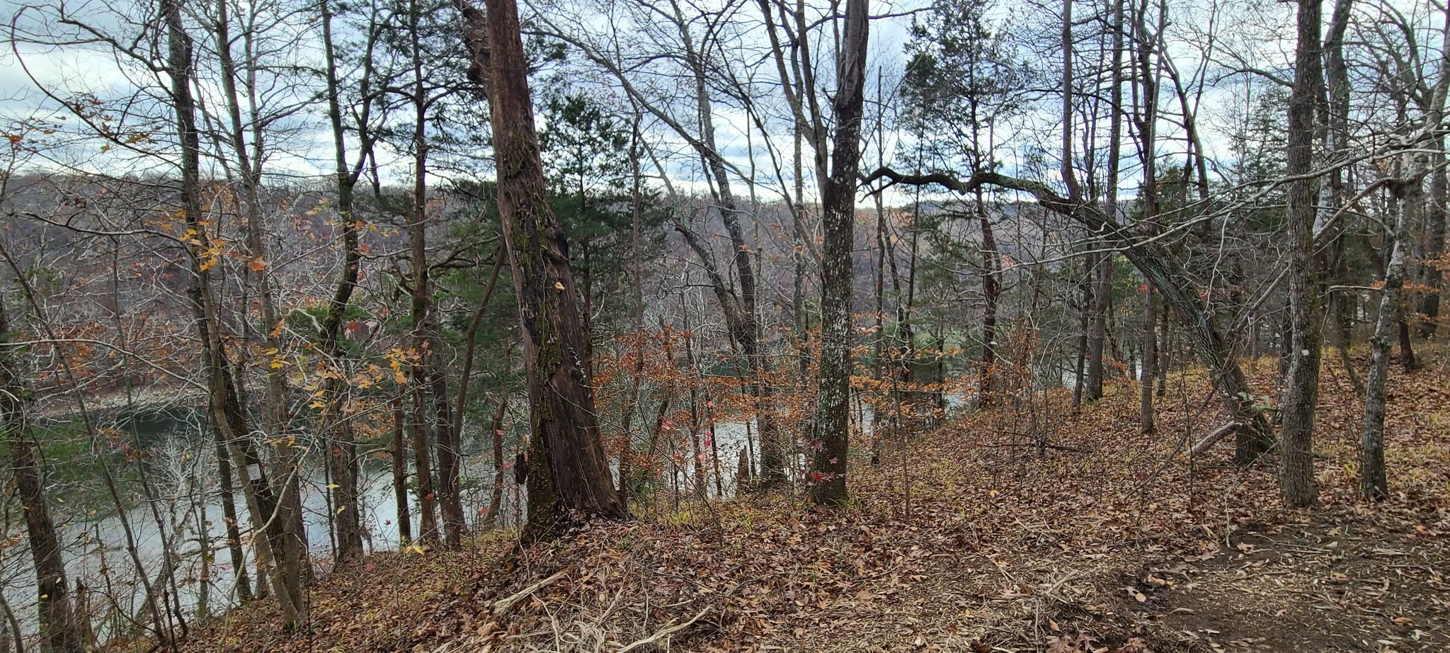 20 Allen Bend Road Smithville, TN 37166 - Photo 6 of 16 Gallery Image 6