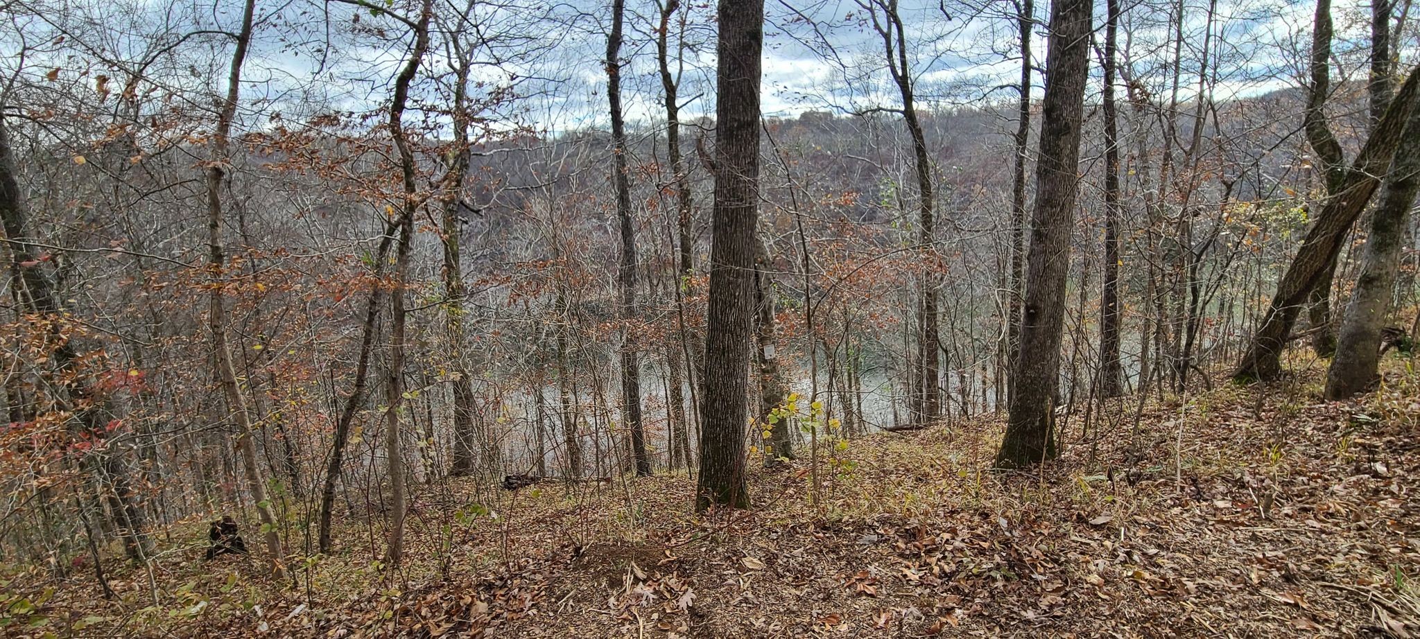 20 Allen Bend Road Smithville, TN 37166 - Photo 9 of 16 Gallery Image 9