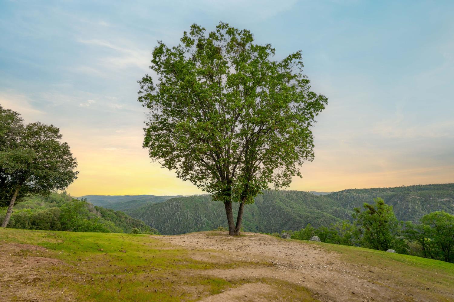 10526 Indian Shack Road Nevada City, CA 95959 - Photo 11 of 63