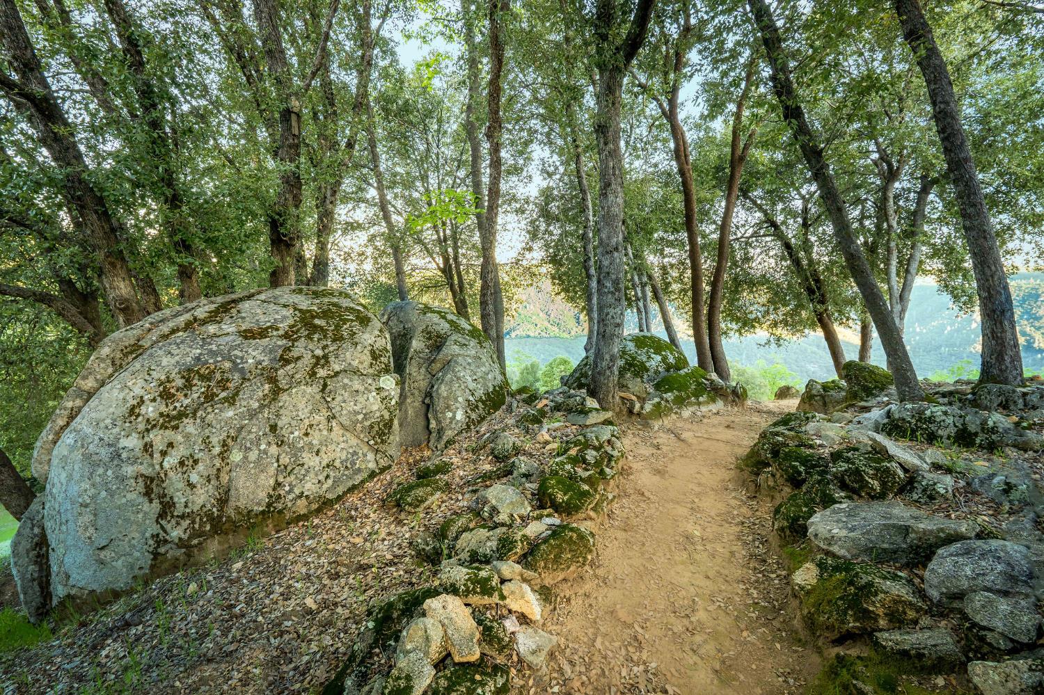 10526 Indian Shack Road Nevada City, CA 95959 - Photo 12 of 63