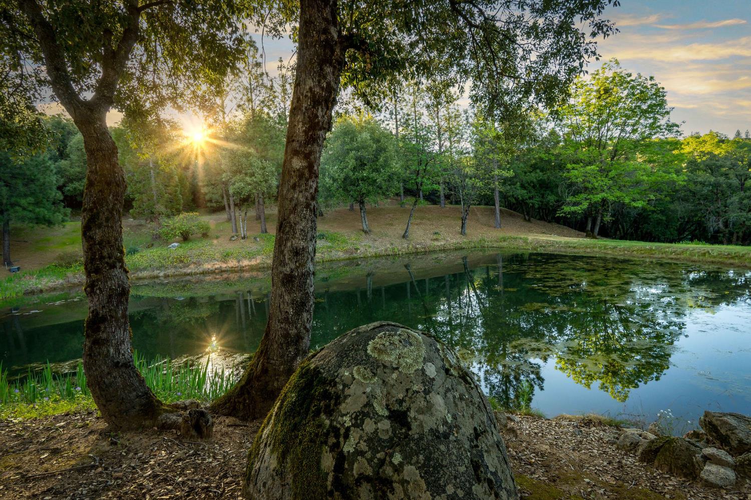 10526 Indian Shack Road Nevada City, CA 95959 - Photo 5 of 63