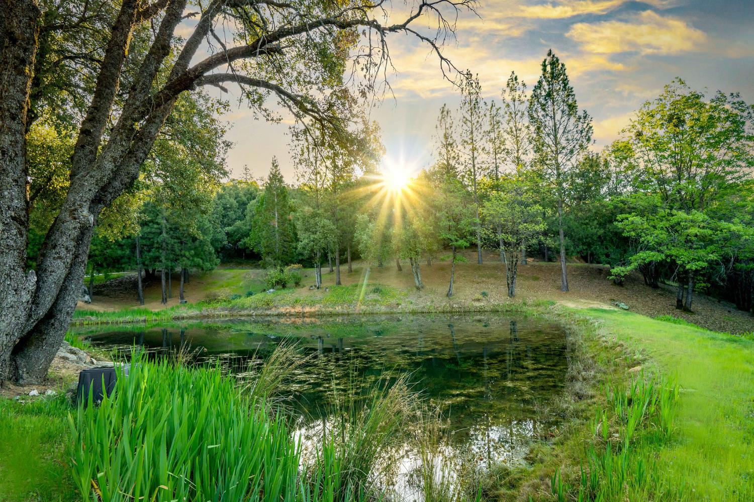 10526 Indian Shack Road Nevada City, CA 95959 - Photo 59 of 63