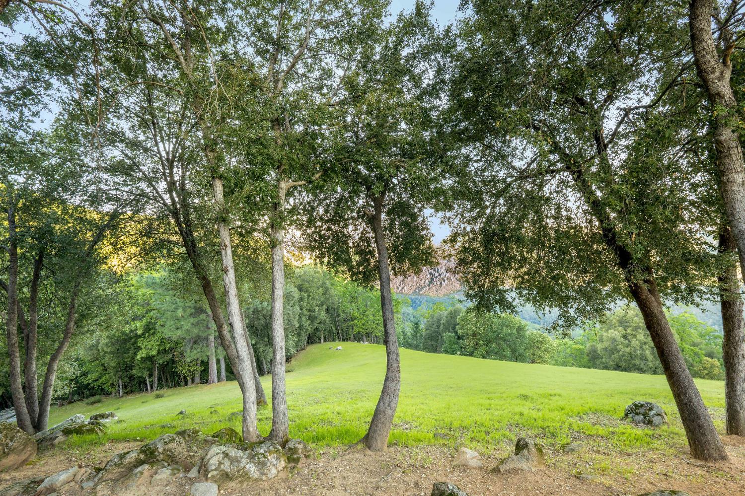 10526 Indian Shack Road Nevada City, CA 95959 - Photo 60 of 63