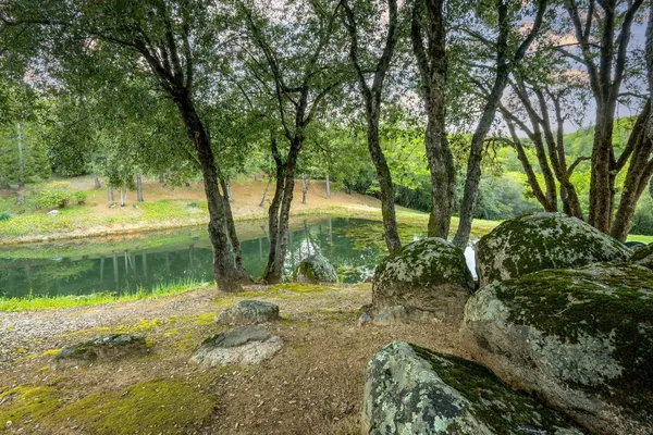 $1,300,000 | 10526 Indian Shack Road, Nevada City, CA 95959