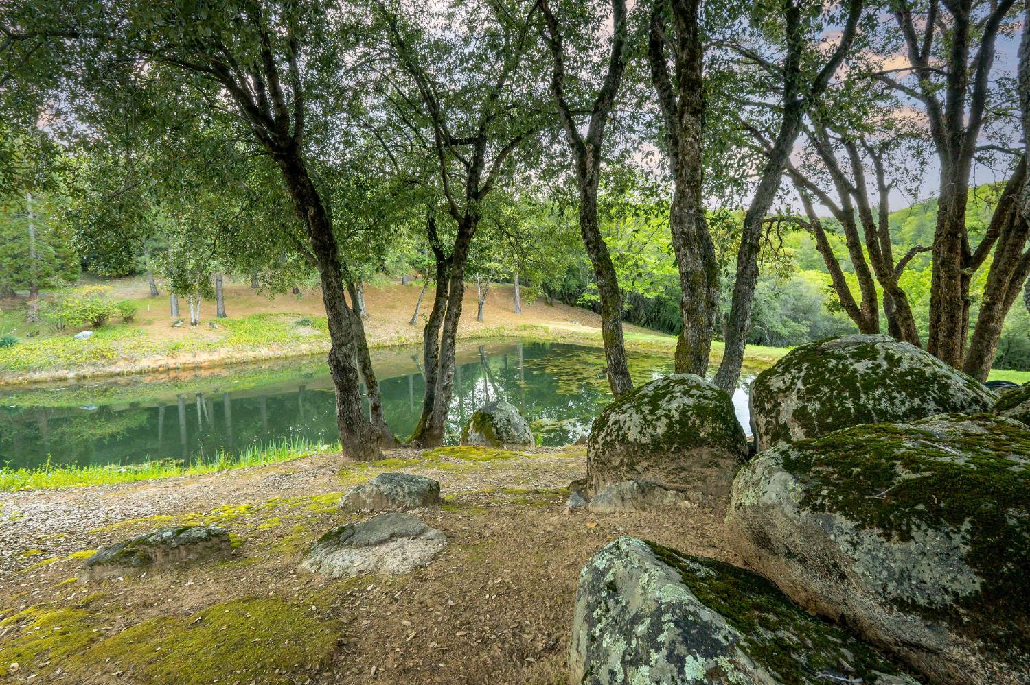 10526 Indian Shack Road Nevada City, CA 95959 - Photo 6 of 63