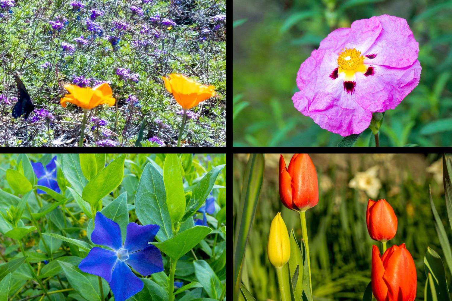 10526 Indian Shack Road Nevada City, CA 95959 - Photo 63 of 63