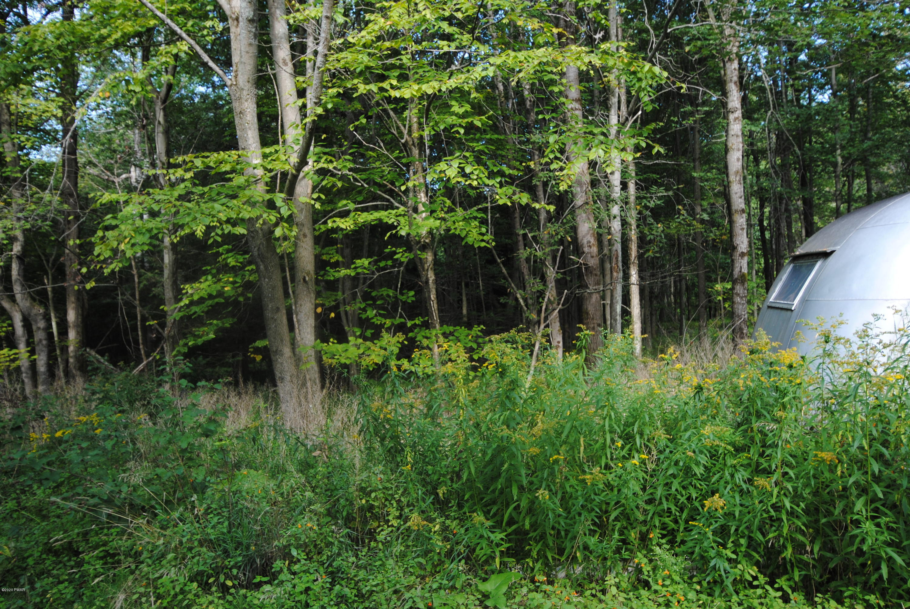 3442 Wrighter Lake Road Starrucca, PA 18462 - Photo 7 of 23
