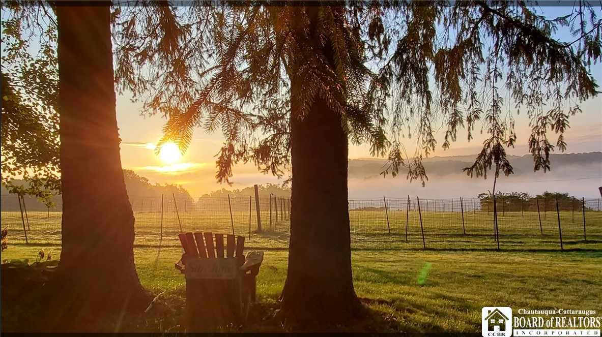 11144 Pope Road Randolph, NY 14772 - Photo 3 of 49