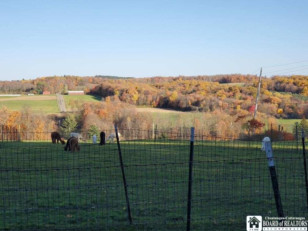 11144 Pope Road Randolph, NY 14772 - Photo 9 of 49